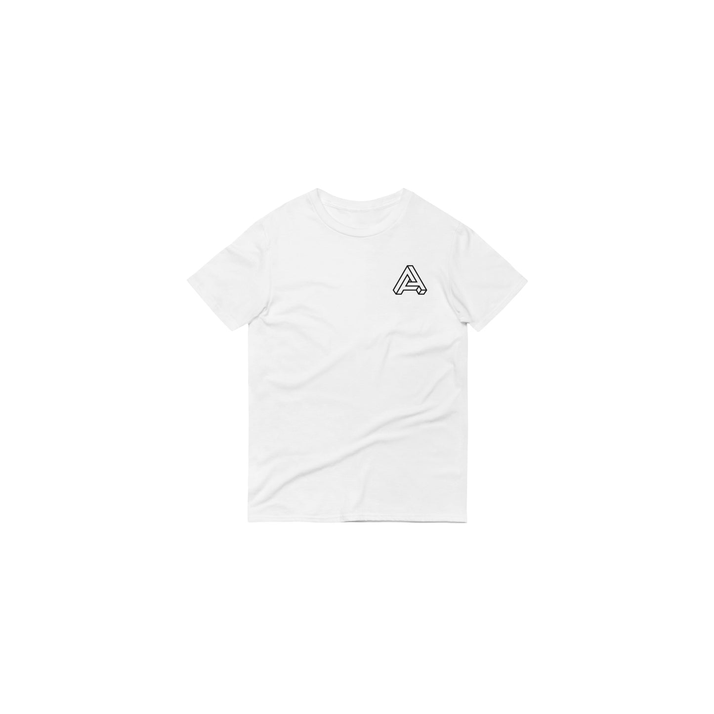 THE PLAIN JANE GYM T